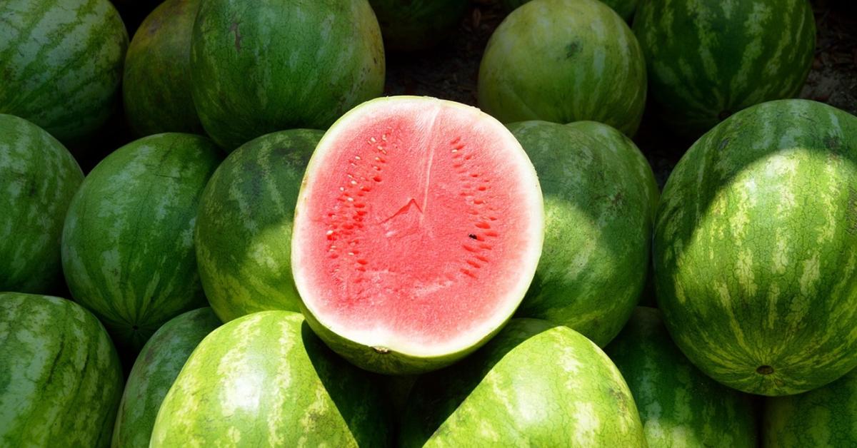 Az algás táp sem segített – elképesztően lassú volt a dinnye fejlődése