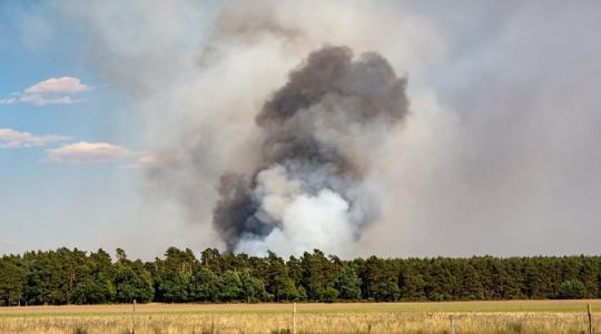 Sorra csapnak fel a lángok a hőségben – avartűz pusztított Békésben Sorra csapnak fel a lángok a hőségben – avartűz pusztított Békésben