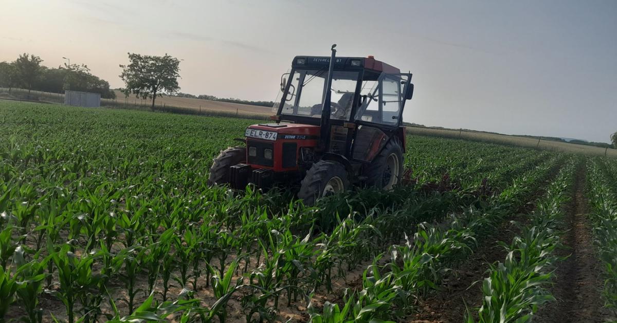 Nagyon elromlik az idő a hosszú hétvégén: mutatjuk, mikor!