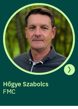 heti körkérdés