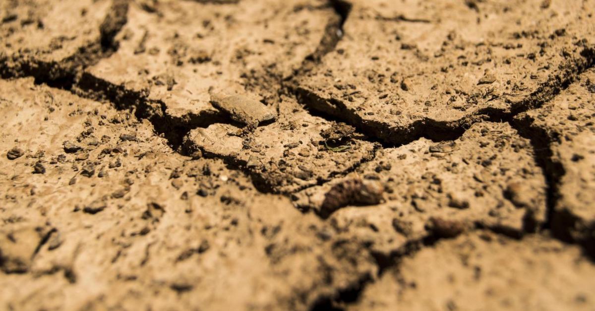 Súlyos aszály fenyeget – túl korán kezdődött a nyár a magyar földeken