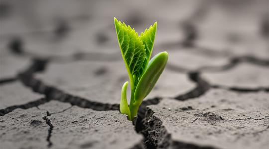 Az alkalmazkodás kora - klímaváltozás Agroinform online konferencia – így csatlakozhatsz!