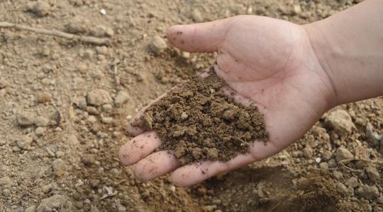 Megugrott a komposztforgalom: 15,7 milliárd forintot költöttek bio-termésnövelőkre Megugrott a komposztforgalom: 15,7 milliárd forintot költöttek bio-termésnövelőkre