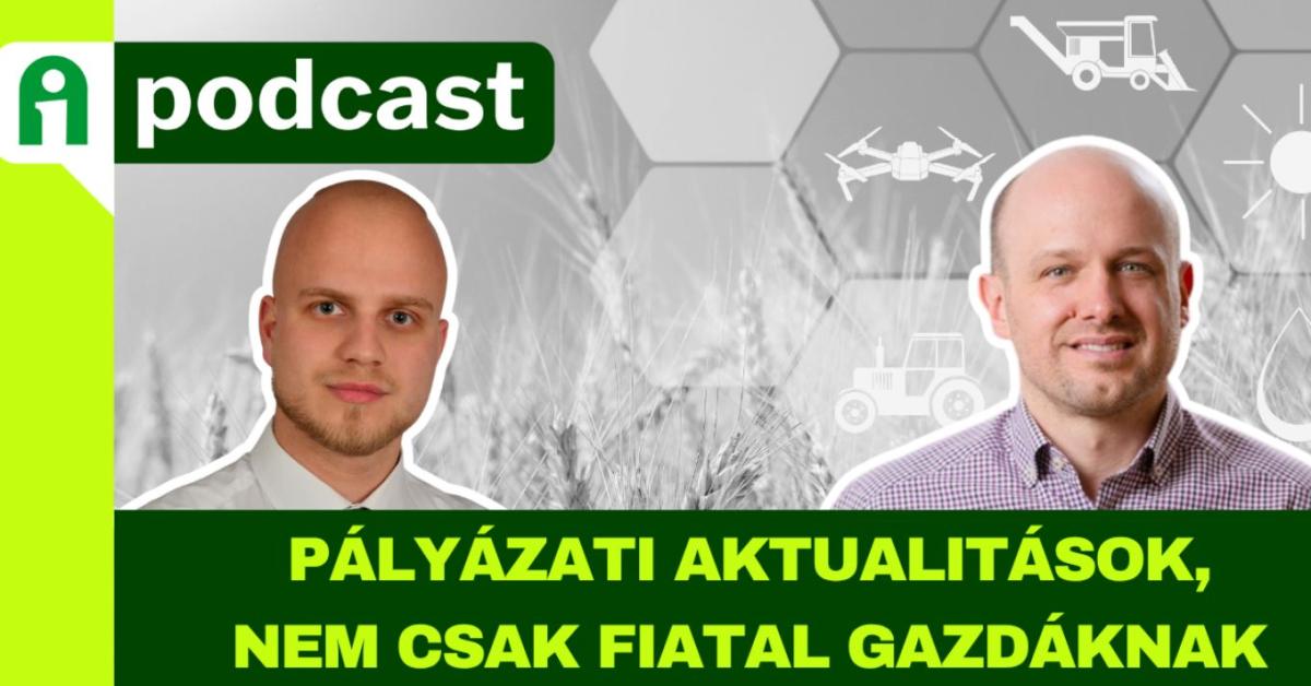 2025. év pályázati aktualitásai – útvesztők helyett stratégia
