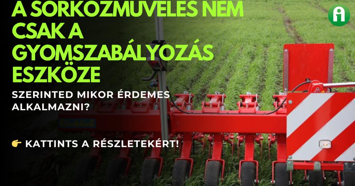 Így csökkentheted a vegyszerköltséget – sorközműveléssel!
