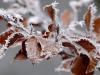 Új nyári hidegrekord: -7,91 Celsius-fok volt az északi országrészben