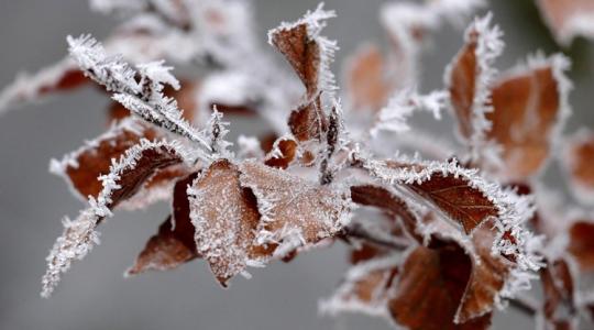 Új nyári hidegrekord: -7,91 Celsius-fok volt az északi országrészben Új nyári hidegrekord: -7,91 Celsius-fok volt az északi országrészben