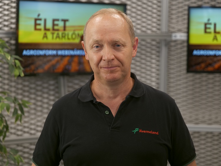 webinárium
