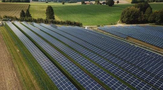 Tényleg árnyékban nő jobban? Ez az agrovoltaikus kutatás meglepő eredményt hozott! Tényleg árnyékban nő jobban? Ez az agrovoltaikus kutatás meglepő eredményt hozott!