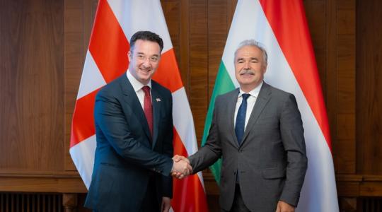 Innováció, kereskedelem és oktatás területén is együttműködünk Georgiával Innováció, kereskedelem és oktatás területén is együttműködünk Georgiával