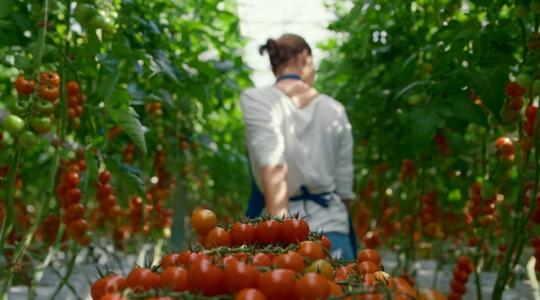 Több mint 300 kkv már forráshoz jutott – lehet, hogy neked is jut Több mint 300 kkv már forráshoz jutott – lehet, hogy neked is jut