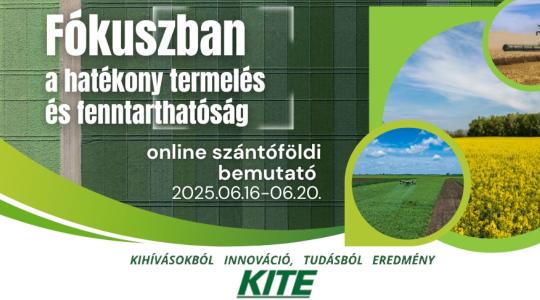 Stratégia, innováció és fenntarthatóság – a KITE vezetői egy asztalnál Stratégia, innováció és fenntarthatóság – a KITE vezetői egy asztalnál
