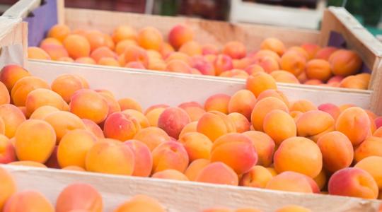 Sárgabarackot venni nem egyszerű – import, hazai, vagy félrevezetés? Sárgabarackot venni nem egyszerű – import, hazai, vagy félrevezetés?