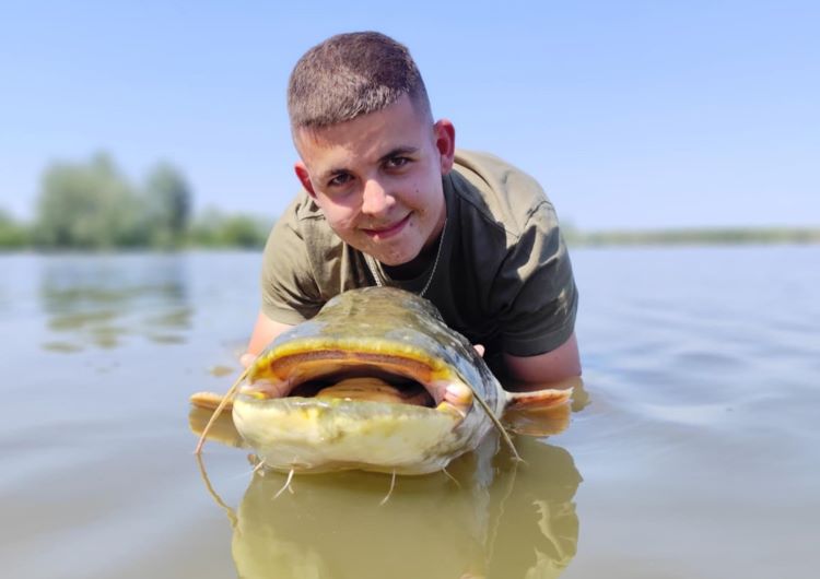 Árok Gábor harcsa