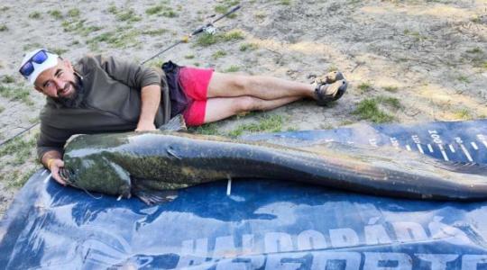 Élete harcsája: 230 centis fenevadat fogott ki