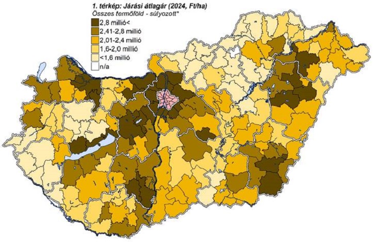 térkép