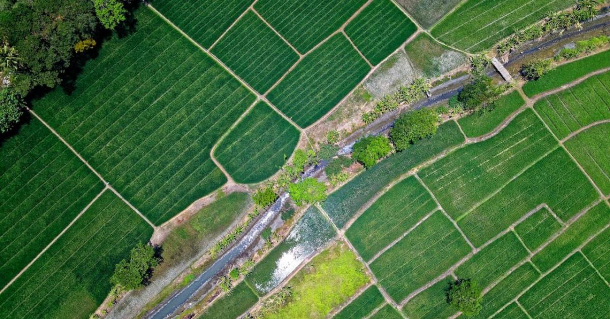 Nőttek az árak, de nőtt a kereslet is a termőföldpiacon Nőttek az árak, de nőtt a kereslet is a termőföldpiacon