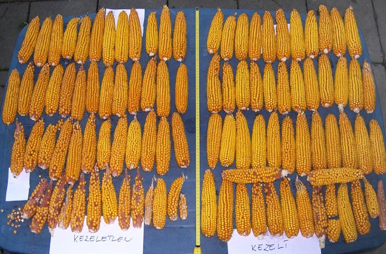 agrometry