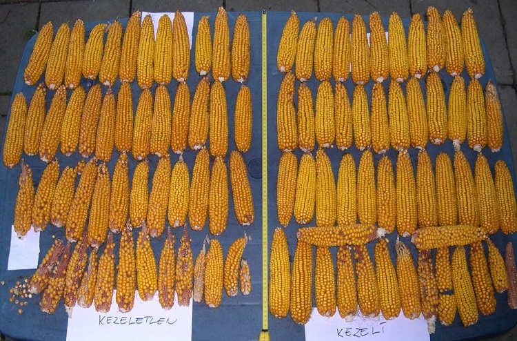 agrometry