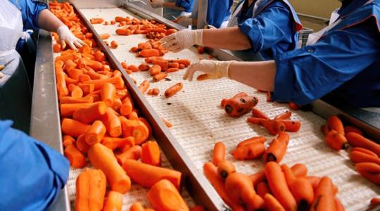 Tele az EU élelmiszerbotránnyal – a magyar agrárium alig érintett Tele az EU élelmiszerbotránnyal – a magyar agrárium alig érintett
