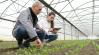 Agrár-Hangár: Nemzetközi agrárképzésről és kutatásokról a legújabb epizódban