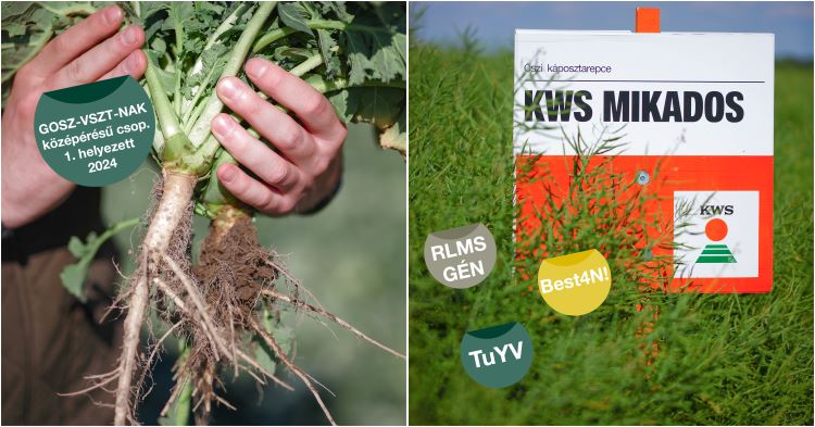 KWS