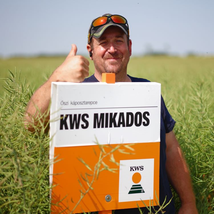 KWS
