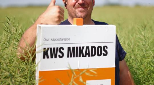 Narancssárga repce minden évben – egy gazdaság titka Vasból