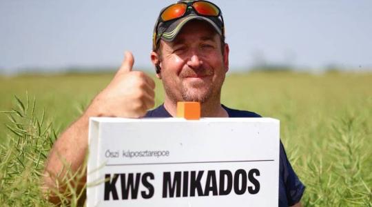 Narancssárga repce minden évben – egy gazdaság titka Vasból