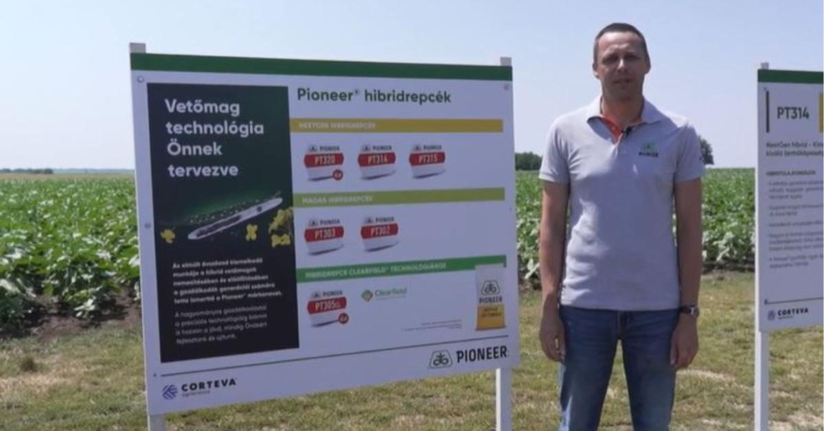 Újgenerációs repcehibridek kiváló tulajdonságokkal + VIDEÓ