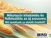 Mikotoxin kitekintés 2025 –  Felkészülés az új szezonra 