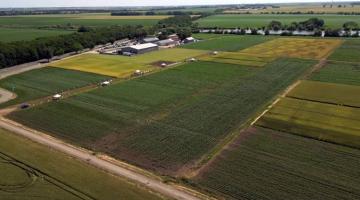 Hogyan válassz hibridet a saját területedre? 