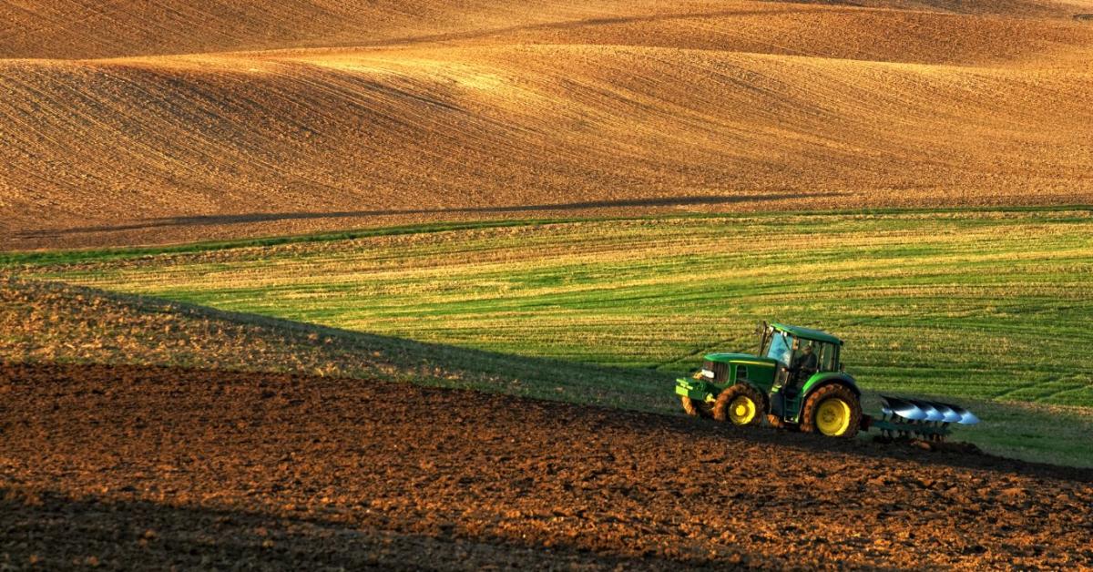 Földvásárlás 2025-ben: Ki, hogyan és mennyit szerezhet?