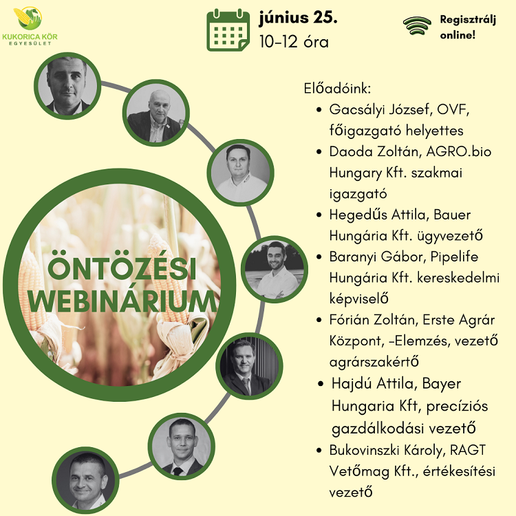 webinárium webinártum