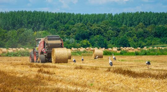 3 napos időjárás-előrejelzés: fordulatra várva...
