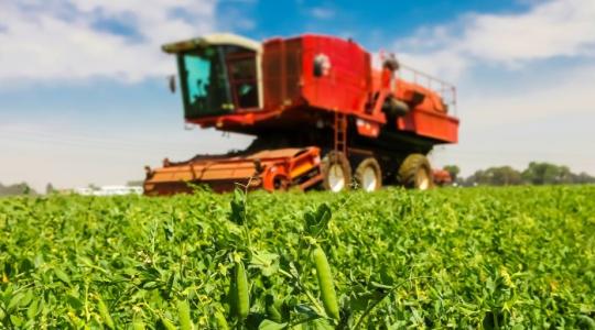 Ezért éri meg az öntözés – látványos zöldborsóhozam az Orosfarmnál Ezért éri meg az öntözés – látványos zöldborsóhozam az Orosfarmnál
