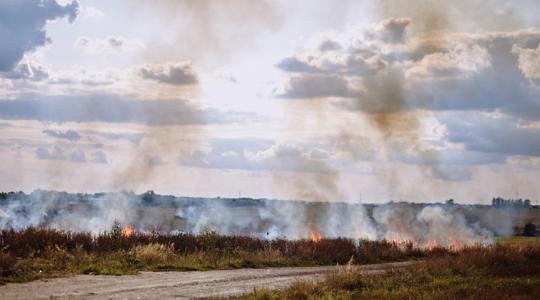 Lábon álló gabona, kaszált fű és kombájn is égett a hétvégén Lábon álló gabona, kaszált fű és kombájn is égett a hétvégén