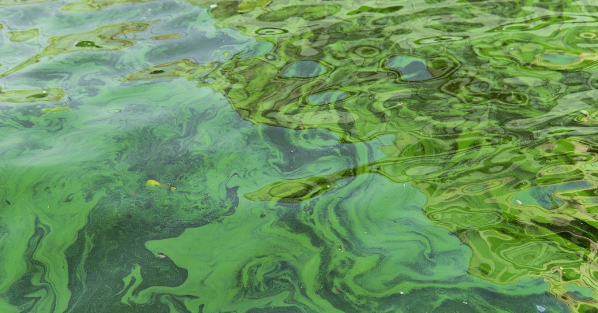 Tenni kell valamit: bajban a Balaton!