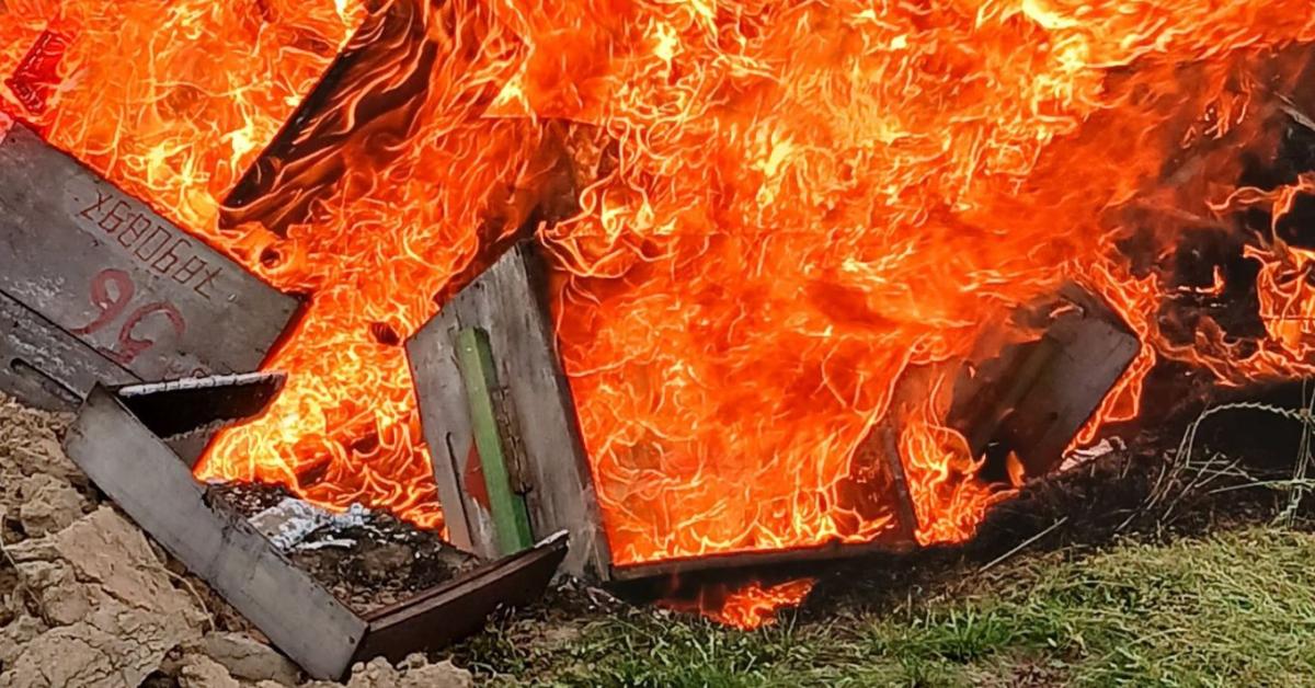 Válságban a magyar méhészet: van, aki már égeti a kaptárokat Válságban a magyar méhészet: van, aki már égeti a kaptárokat