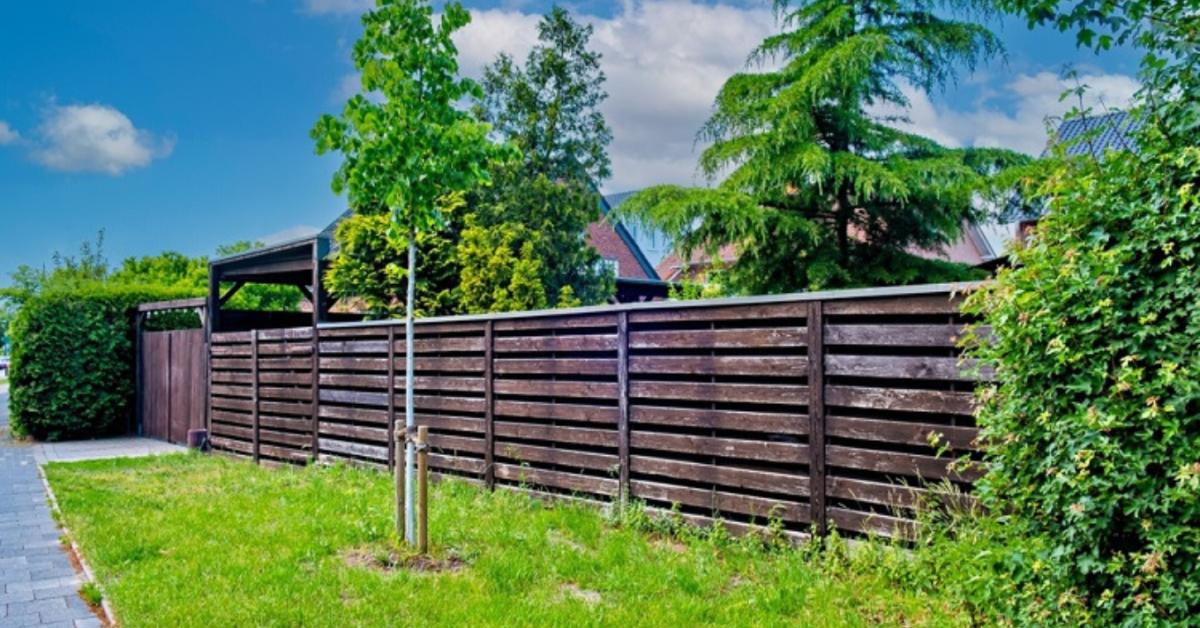 Figyelem! Komoly büntetésre számíthatsz, ha ezt teszed a kertedben! Figyelem! Komoly büntetésre számíthatsz, ha ezt teszed a kertedben!