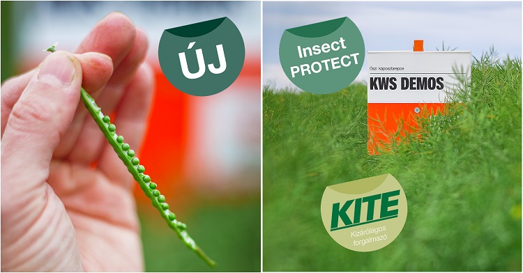 kws