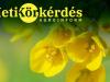 Mit jelent a széles körű genetikai biztonság a modern repcéknél? – Heti Körkérdés