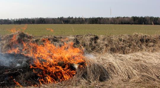 Elpusztult a termés: 44 hektár gabonaföld vált a tűz martalékává Elpusztult a termés: 44 hektár gabonaföld vált a tűz martalékává