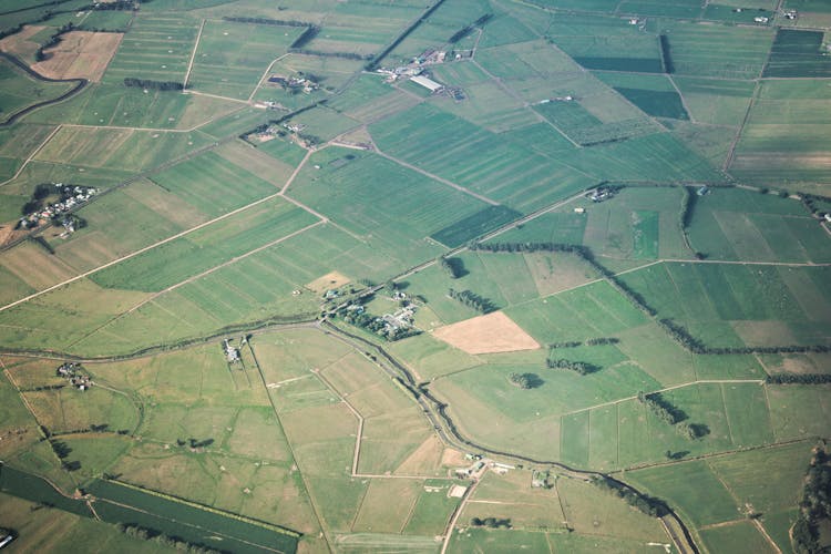 kérelem