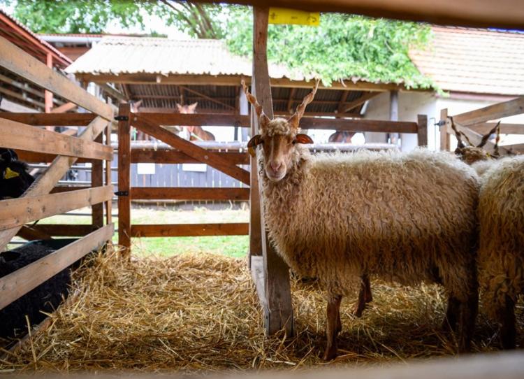 farmer-expo