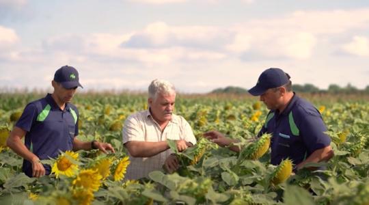 Jég, aszály, árvíz: az Agrár Biztosító a gazdák mögött áll