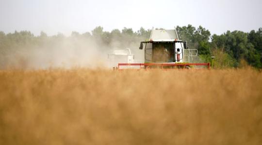 Így termel sikeresen repcét Kádár József a Dél-Alföldön