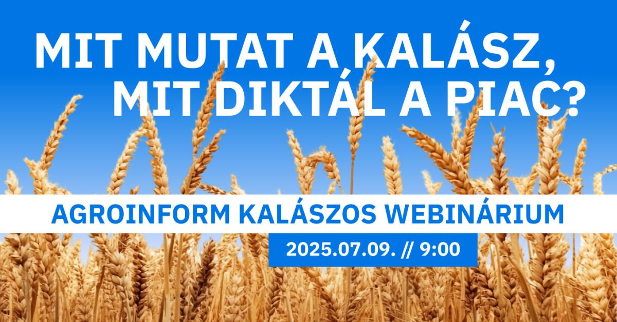 Mit mutat a kalász? Mit diktál a piac? – Agroinform webinárium