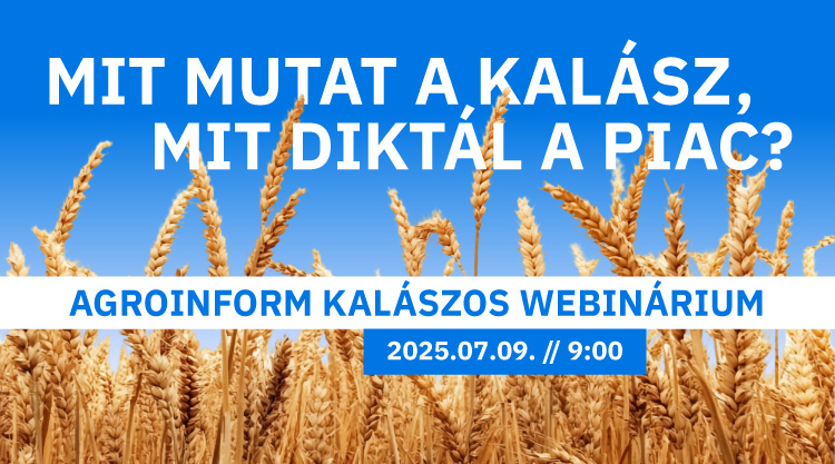 webinárium