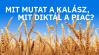 Mit mutat a kalász? Mit diktál a piac? – Agroinform webinárium